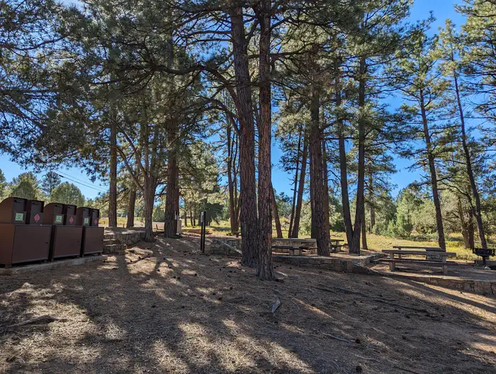 Picnic Site