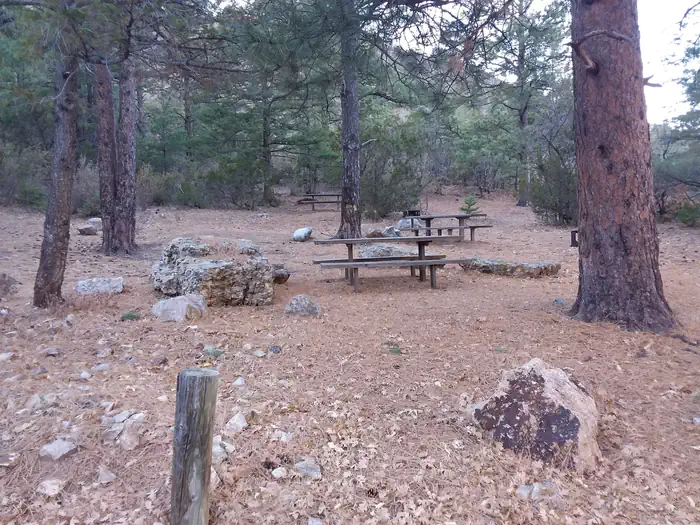 Picnic tables going up the hill.