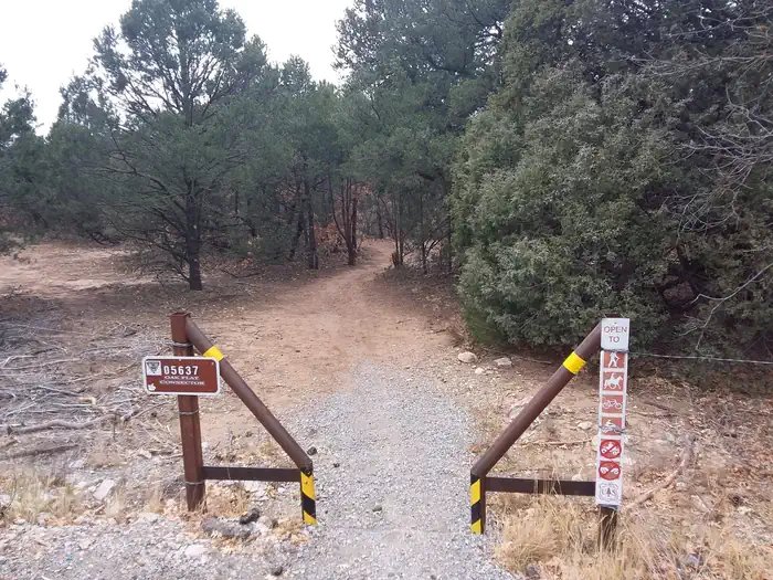 Oak Yucca and Locust Group Picnic Sites
