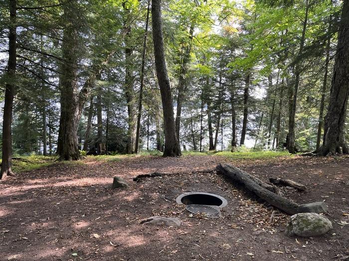 A campsite with a firegrate surrounded by trees with water visible beyond the trees.