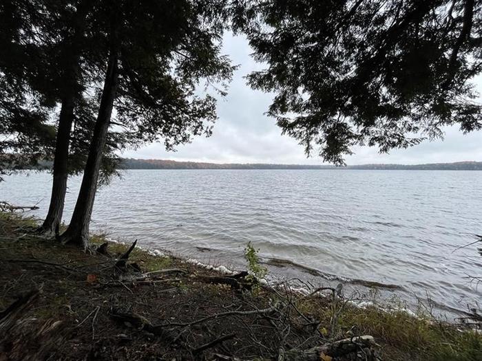Waves approach a tree covered shore with gray storm clouds in the sky overhead.