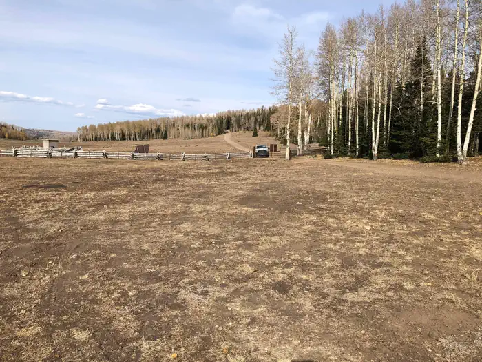 Meadow