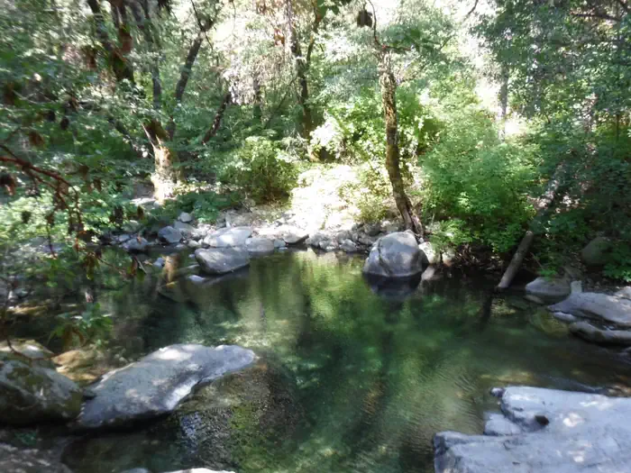 Swimming Hole, Fiddle Creek
