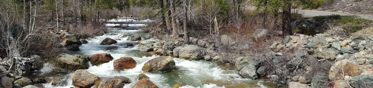 SALMON CREEK