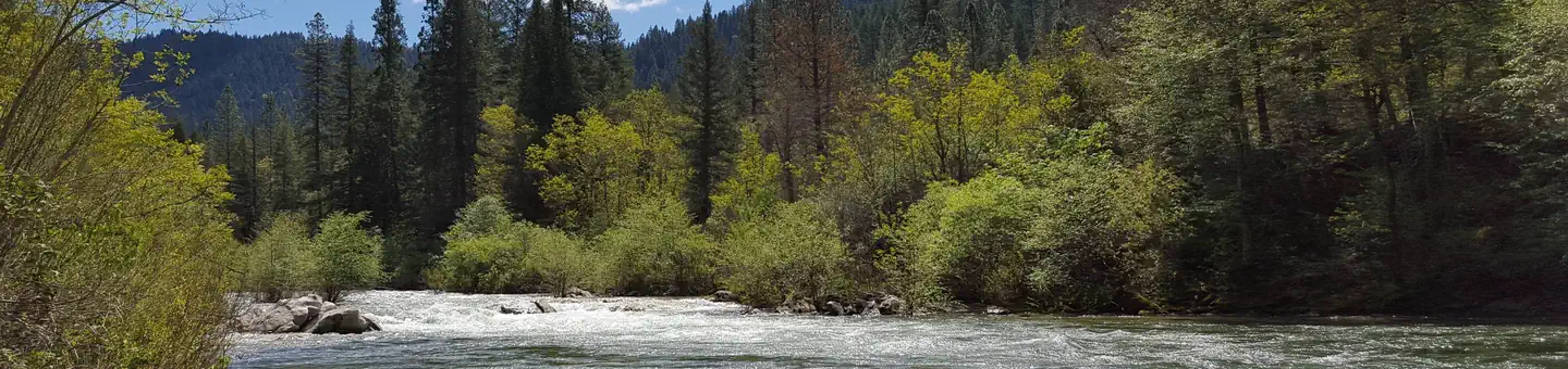 FIDDLE CREEK
