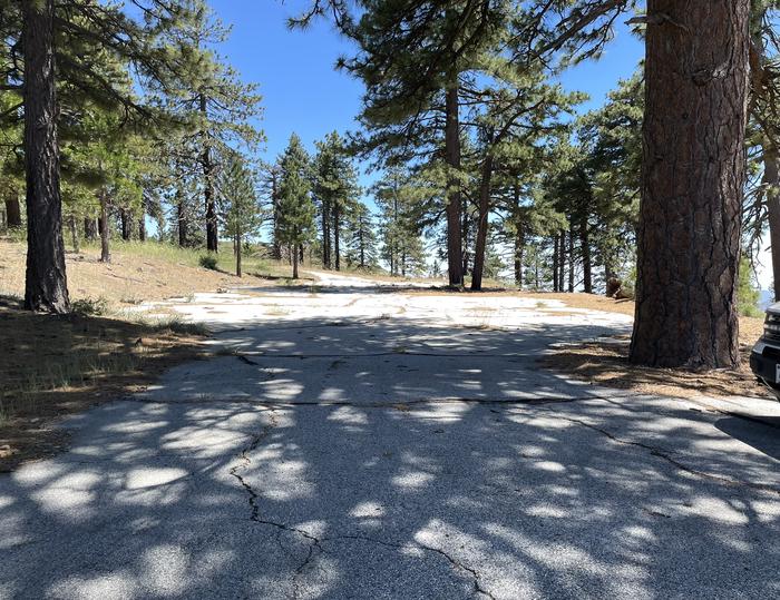 Gravel overflow parking in a shady pine tree forest.