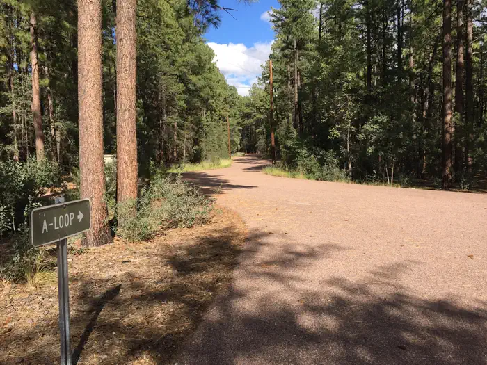 Ponderosa