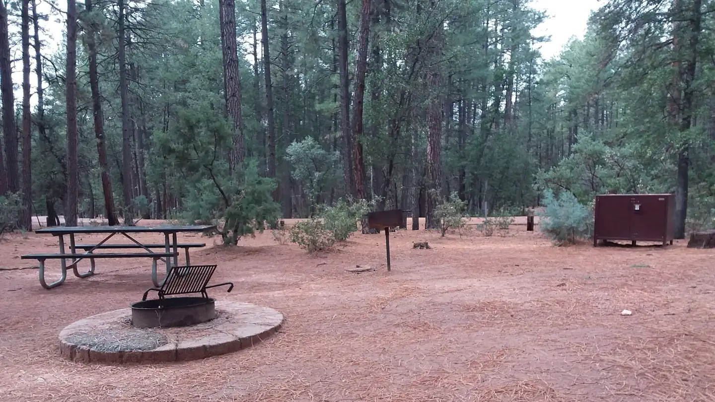 PONDEROSA (AZ)