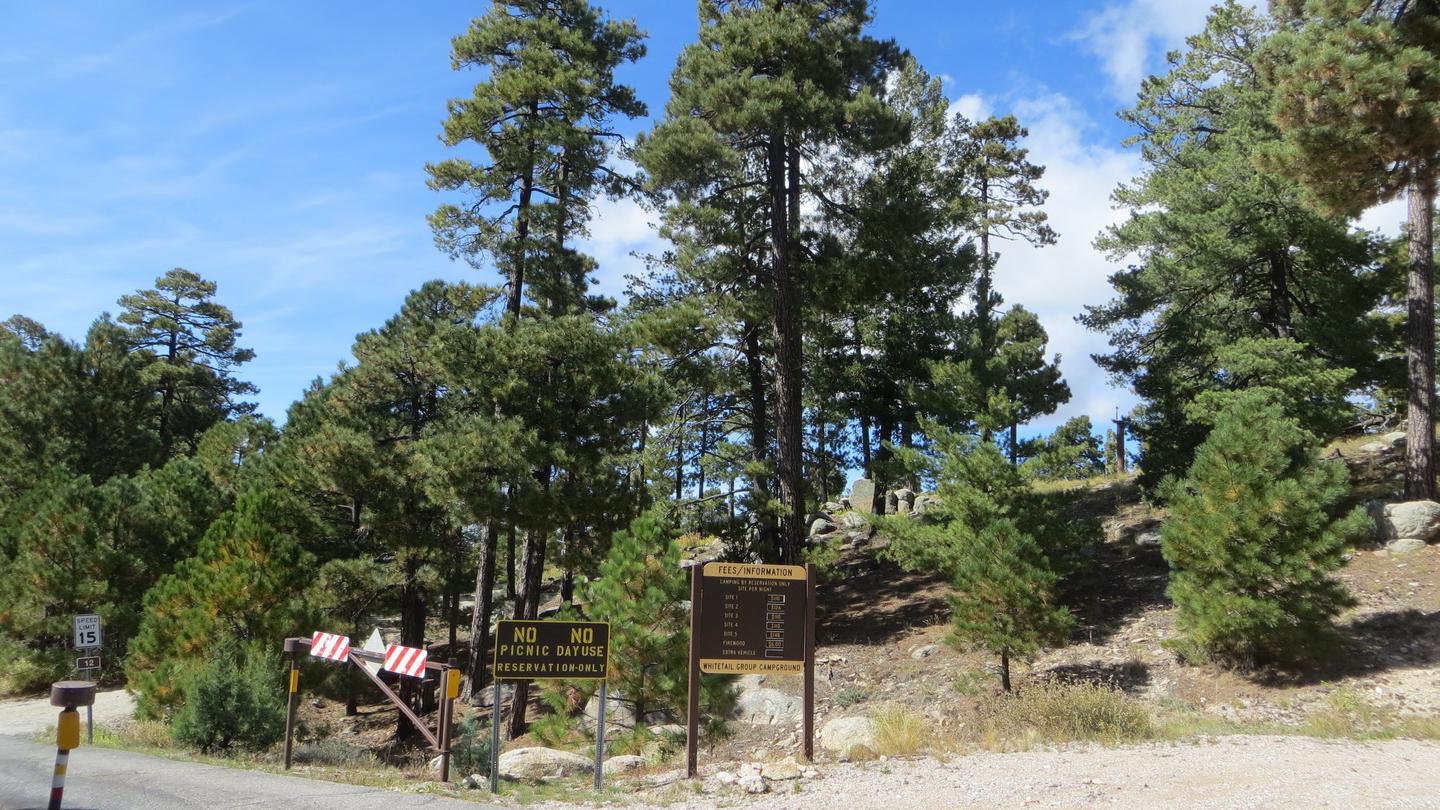 WHITETAIL CAMPGROUND