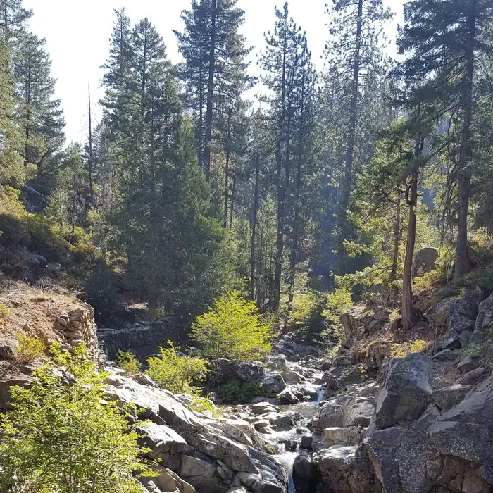 Falls