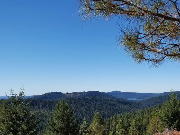 Pioneer Trail