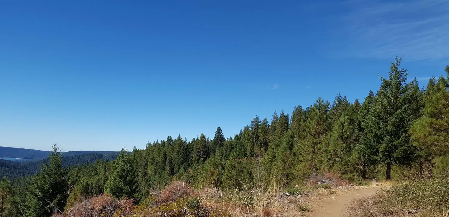 Pioneer Trail