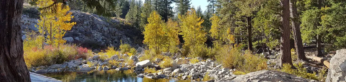 INDIAN SPRINGS