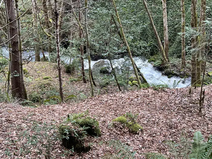 Pearch Creek Feb2025