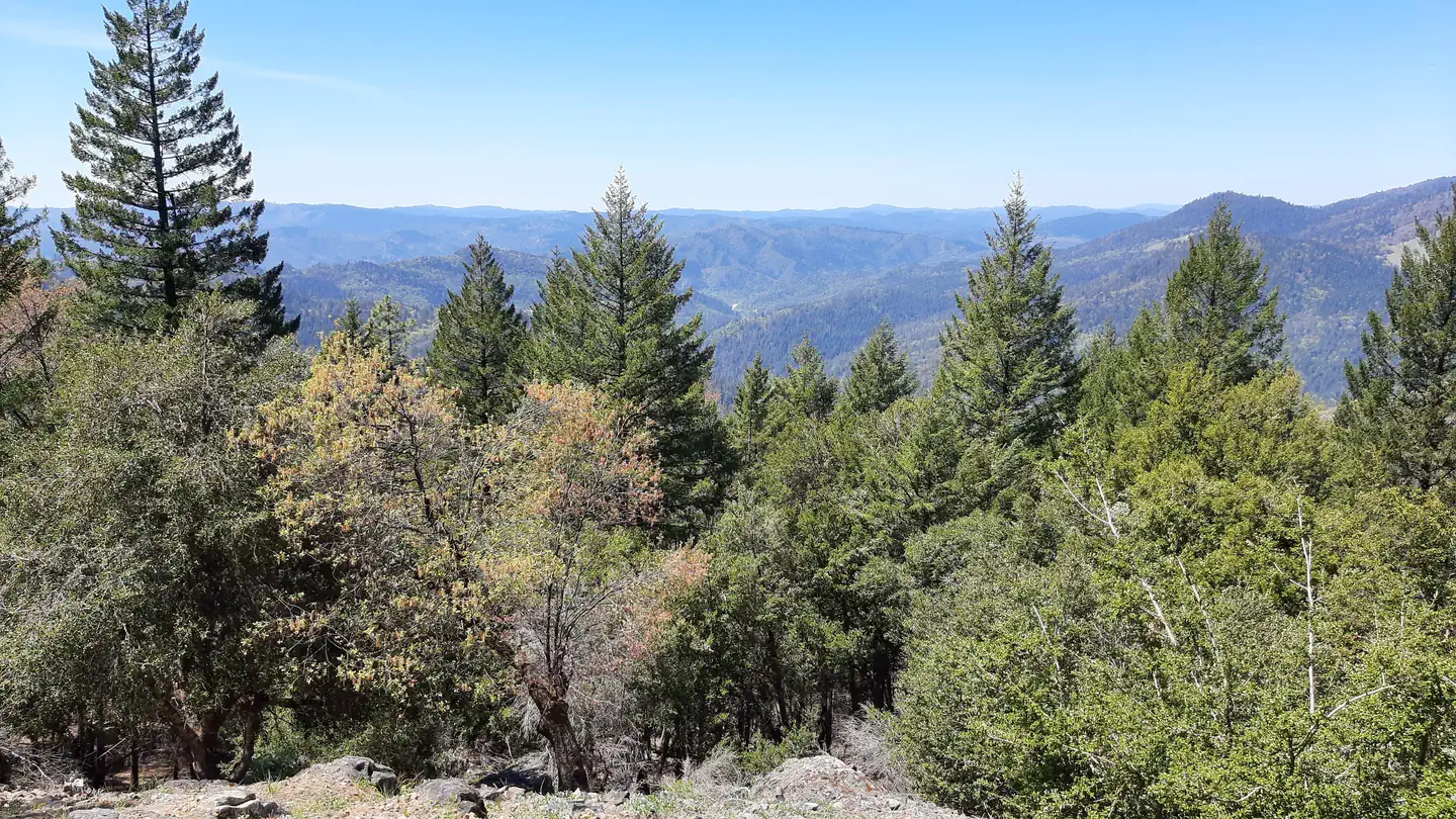 PINE MOUNTAIN LOOKOUT