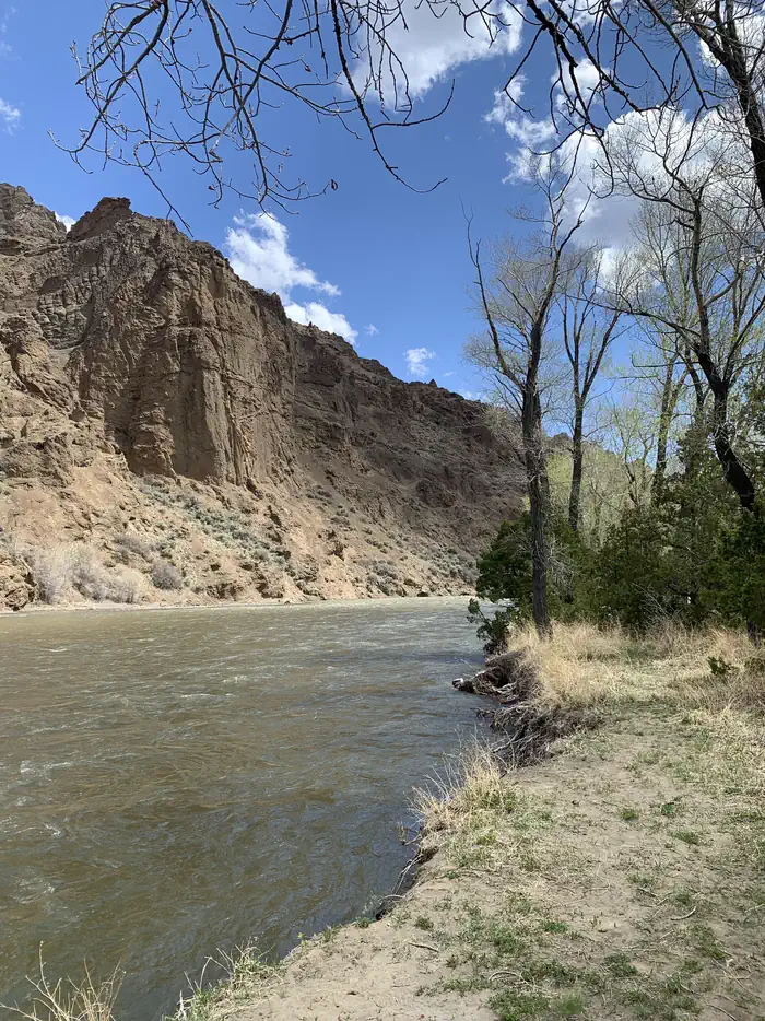 Wapiti Campground, North Fork Shoshone River,  mountains in background, view 2