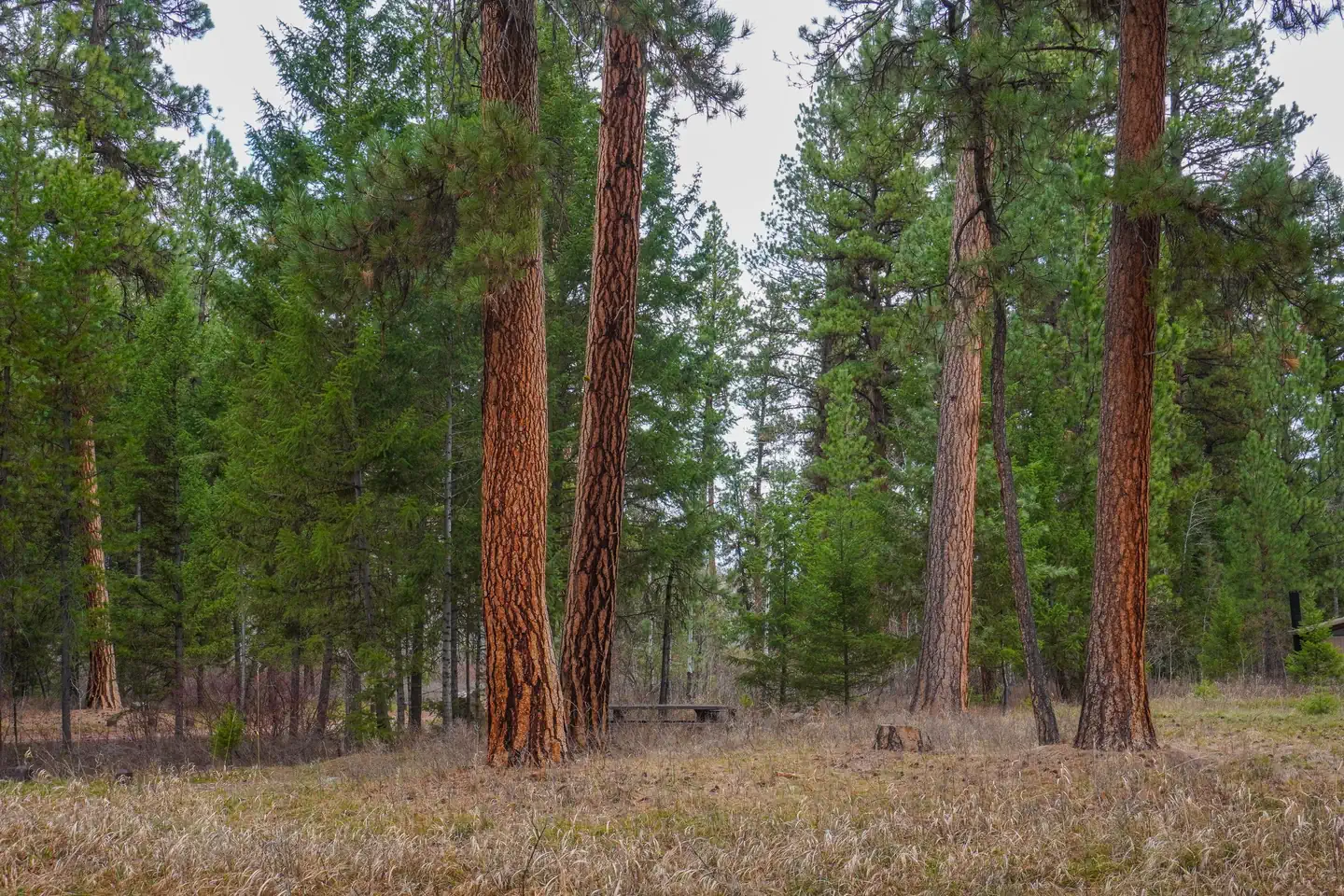 ALTA CAMPGROUND