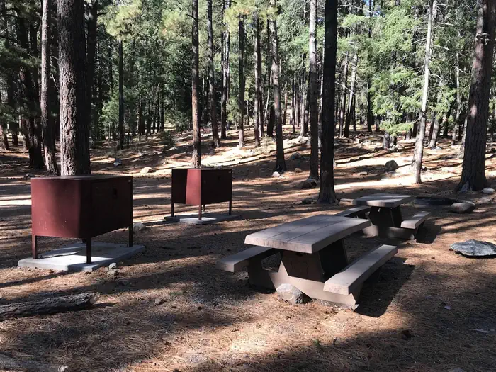 Lower Twilight Group Site