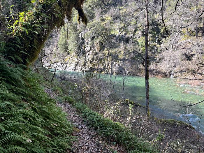 Along the trail overlooking the creek