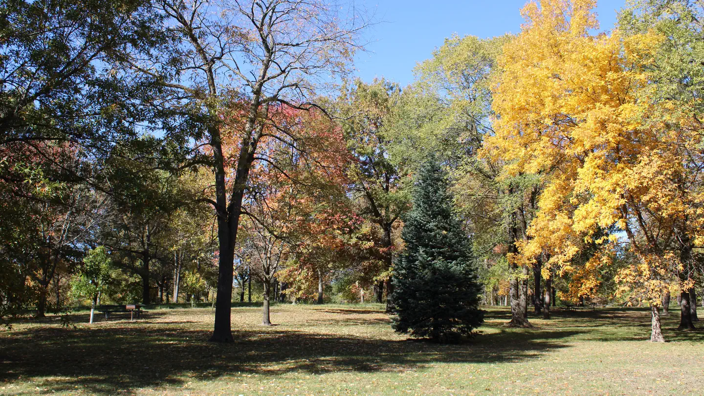 CHERRY GLEN PICNIC