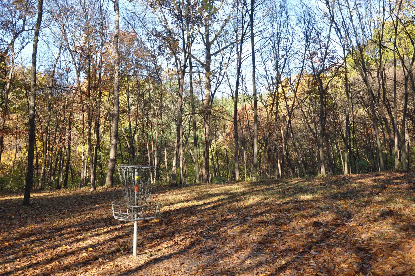 Disk Golf