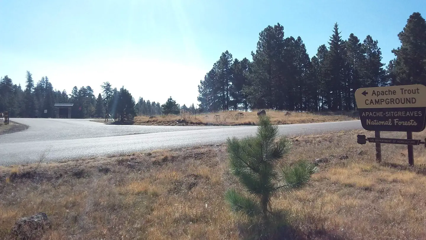 APACHE TROUT CAMPGROUND