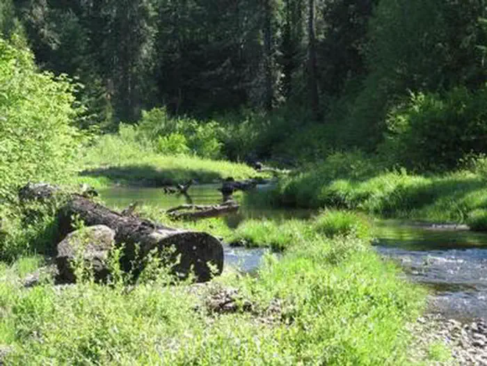 JIM CREEK GROUP CAMPGROUND