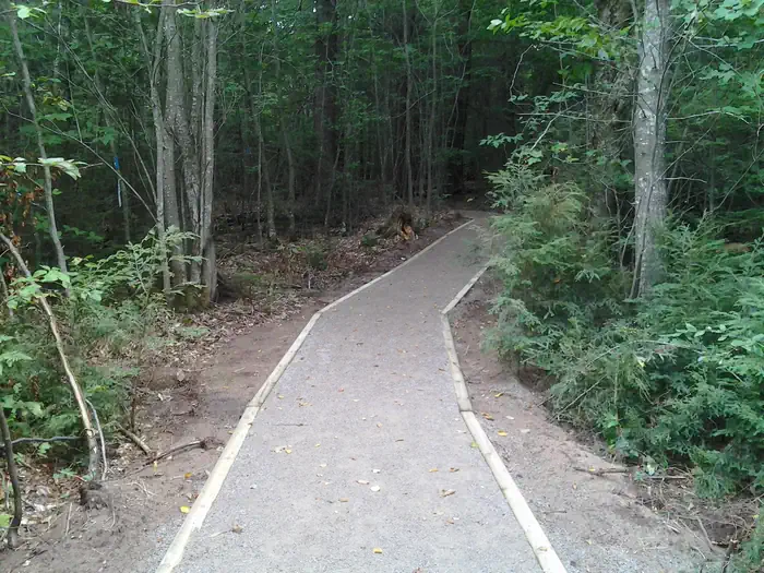 Grand Island Cabin - Pathway