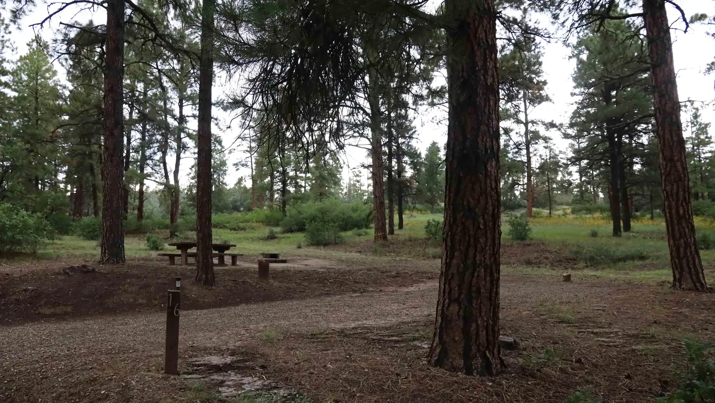 Ute Campground (CO)