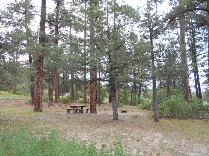 Ute Campground Site