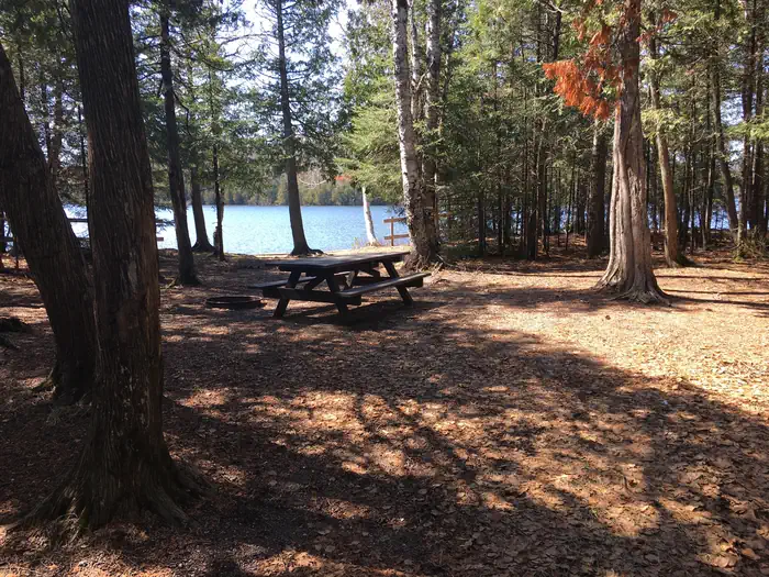 Campsite at Ninemile Campground. There is a picnic table in the shade of several trees and a lake in the background.