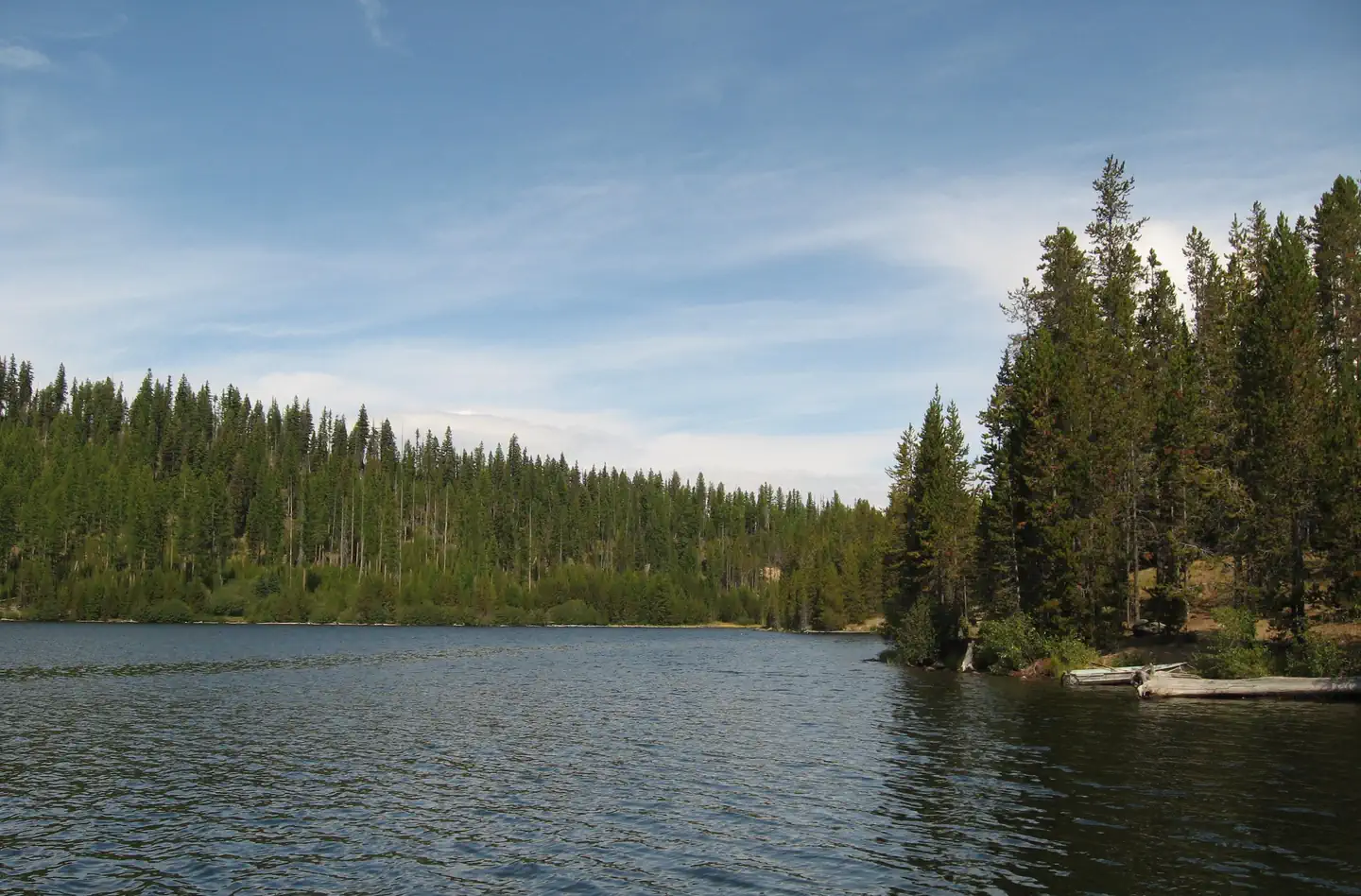 lake water with dense conifers along the shore