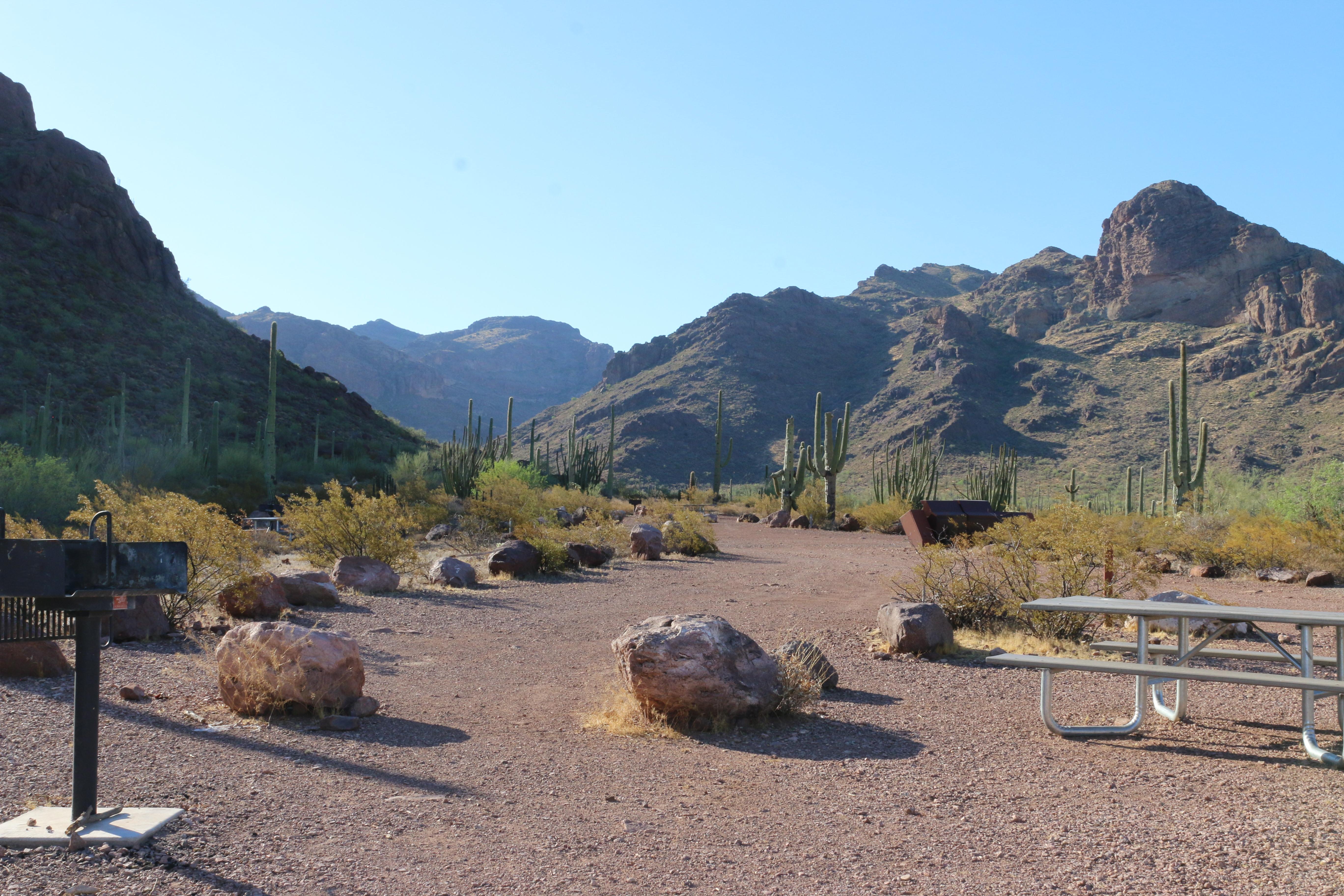 Alamo Campground