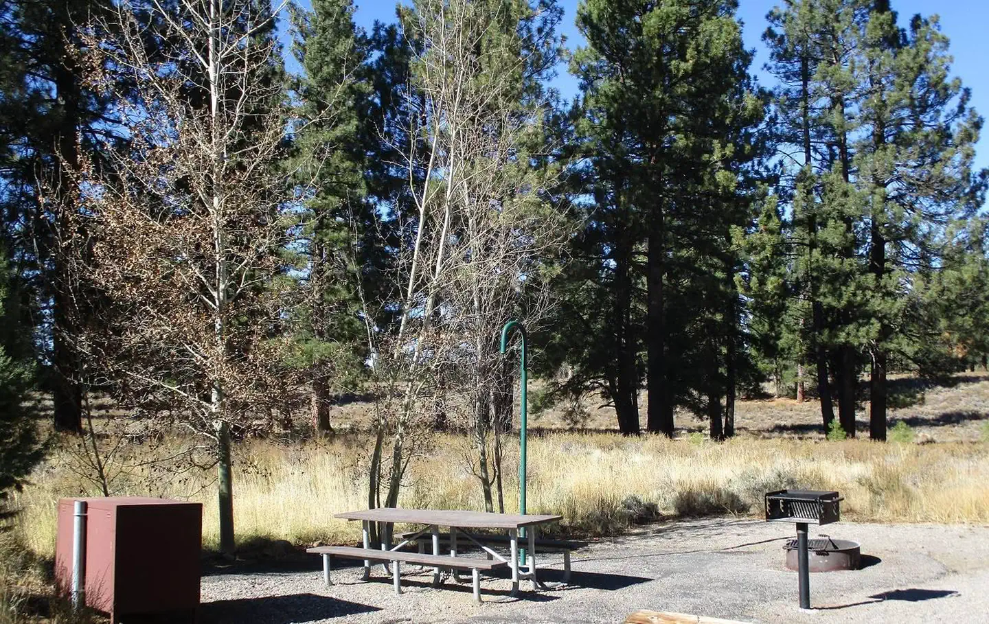 Campsite Features
