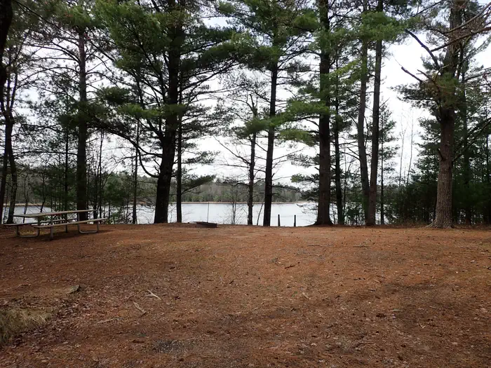 Emily Lake Campground site 5