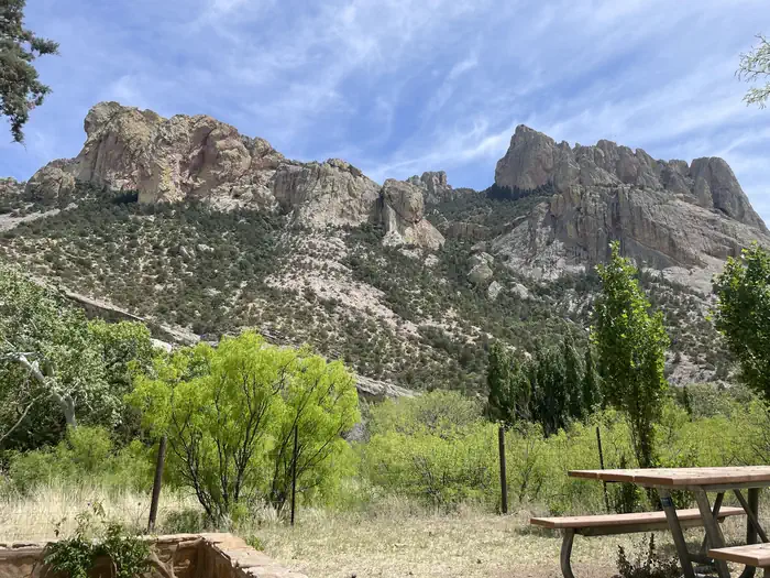 Back Patio View
