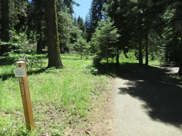 Hyatt Campground Campsite C37