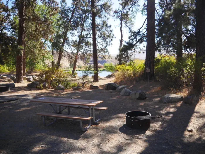 Big Pines Campsite with fire ring and parking space.
