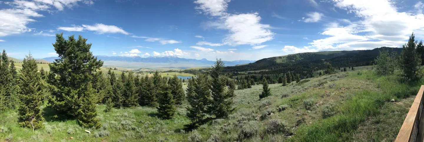 View from Axolotl Cabin Porch