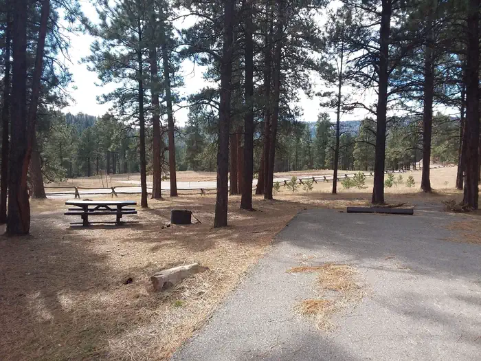 Rio de las Vacas Campground Site 15