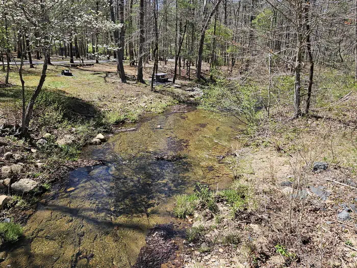 Otter Creek