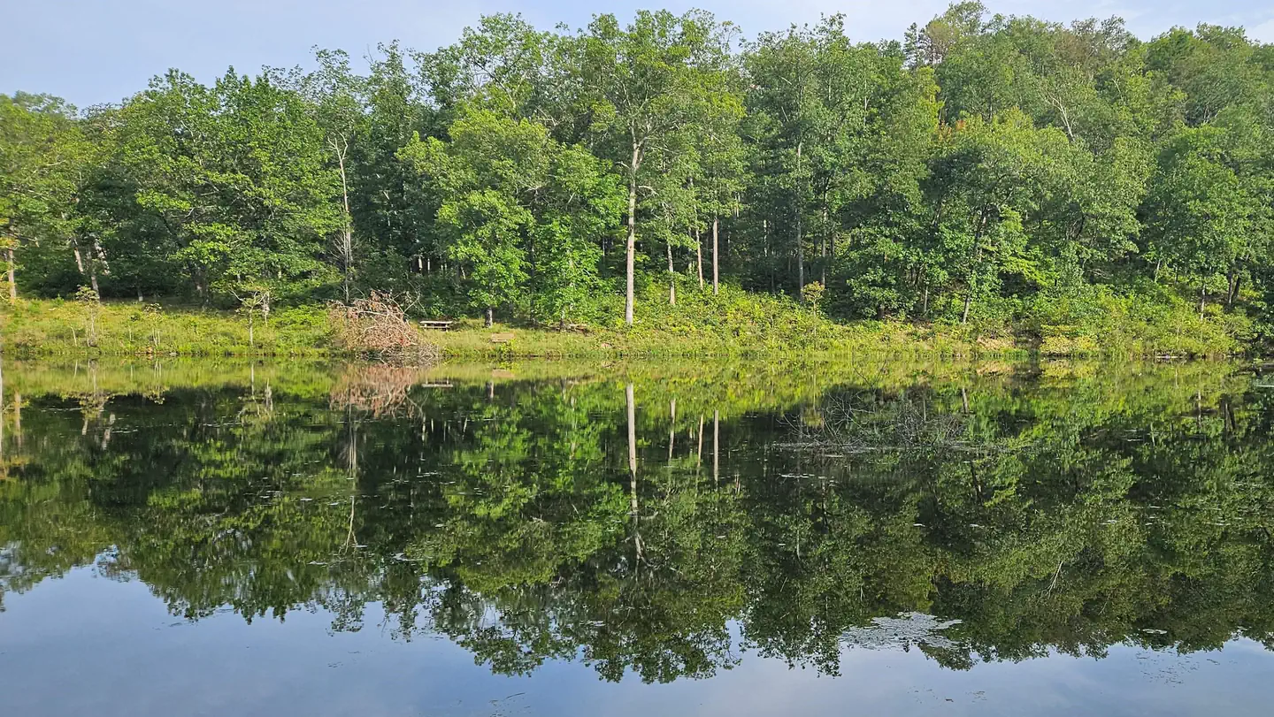 LOGGERS LAKE CAMPGROUND