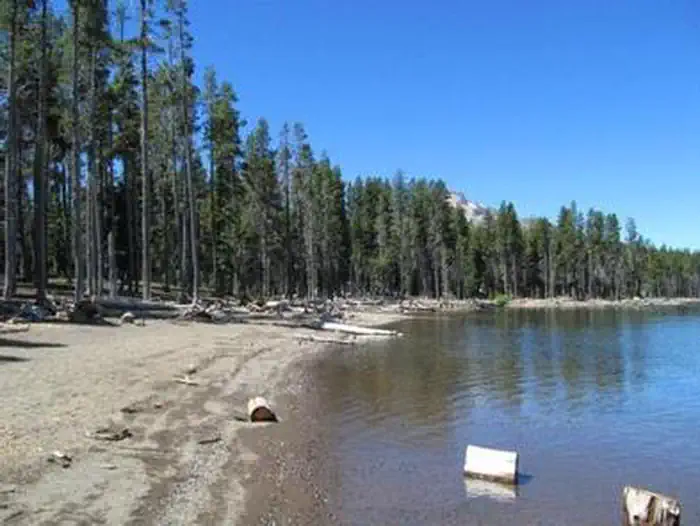 fourmile lake