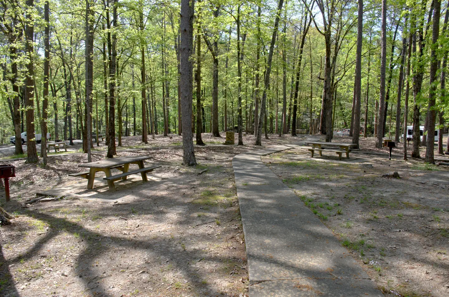 Cooper's Branch #2 Picnic Area