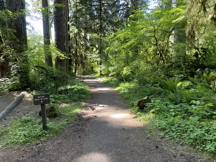 Path to walk in sites 1-4 and amphitheater