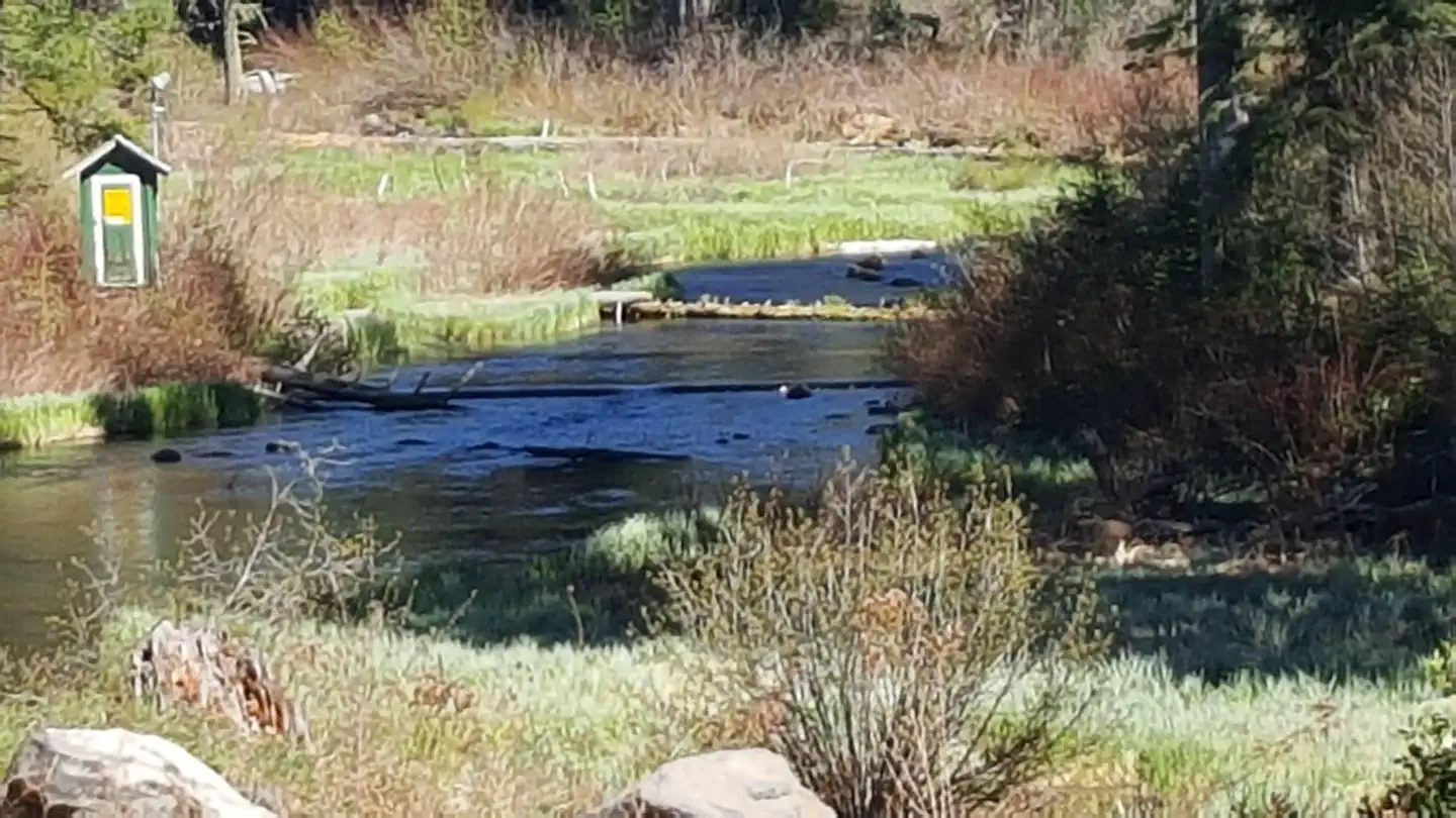 NORTH FORK CAMPGROUND (OR)