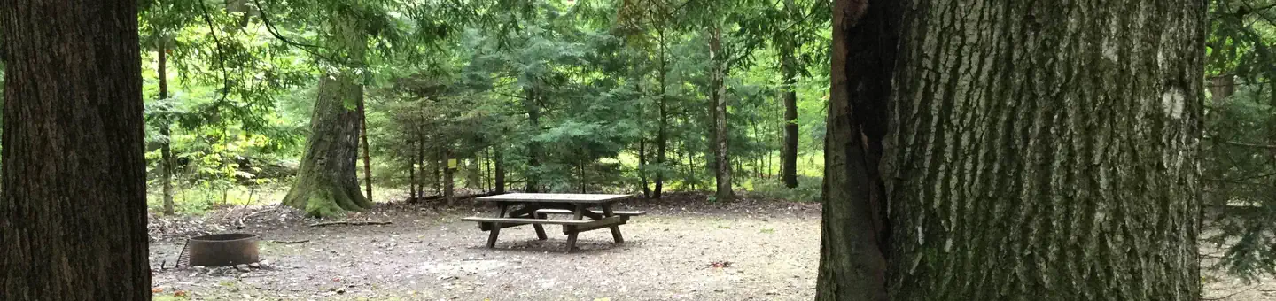 HEARTS CONTENT RECREATION AREA