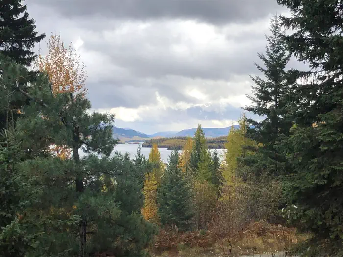 Anna Views