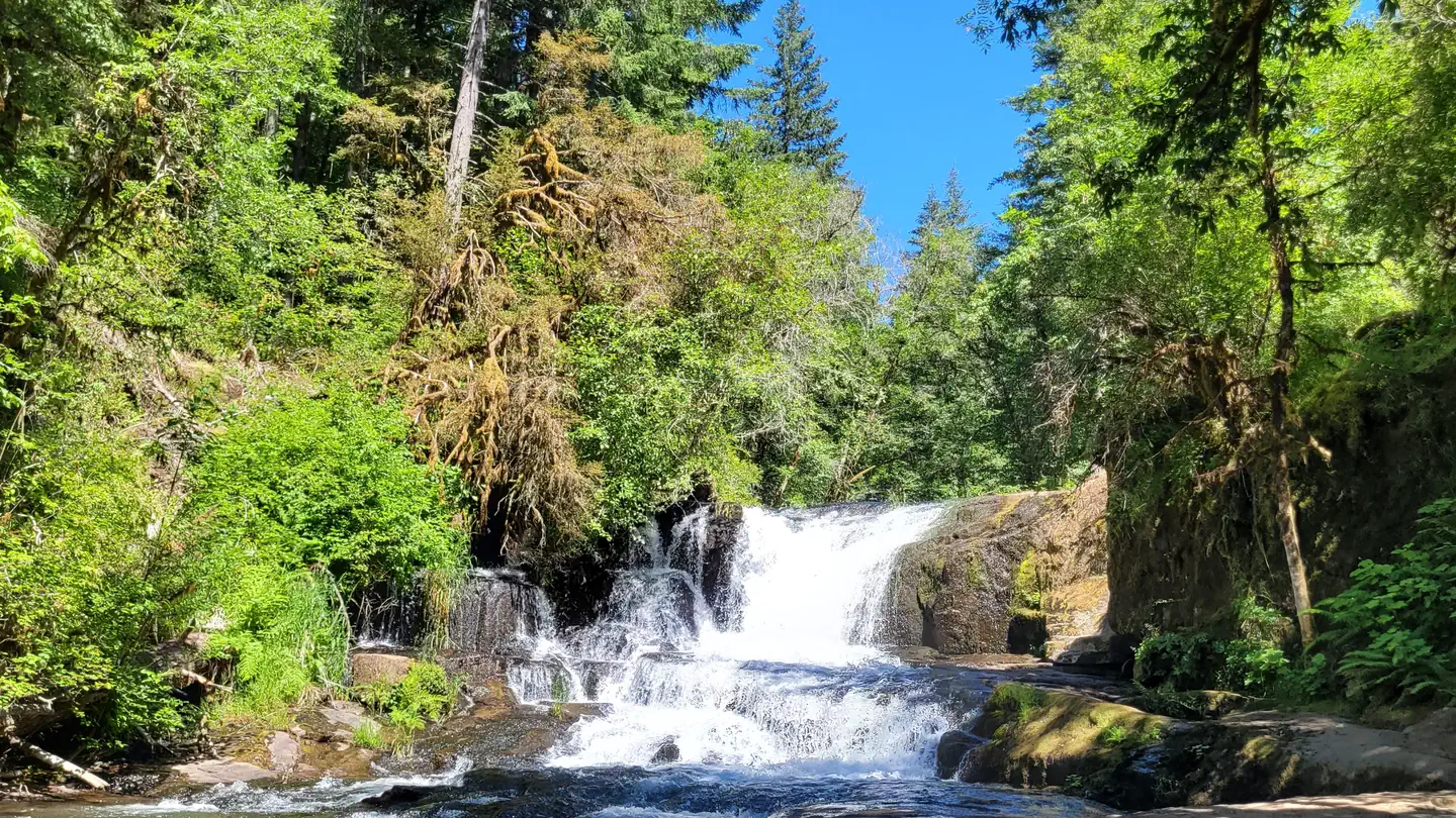 Alsea Falls Recreation Site (Campground)