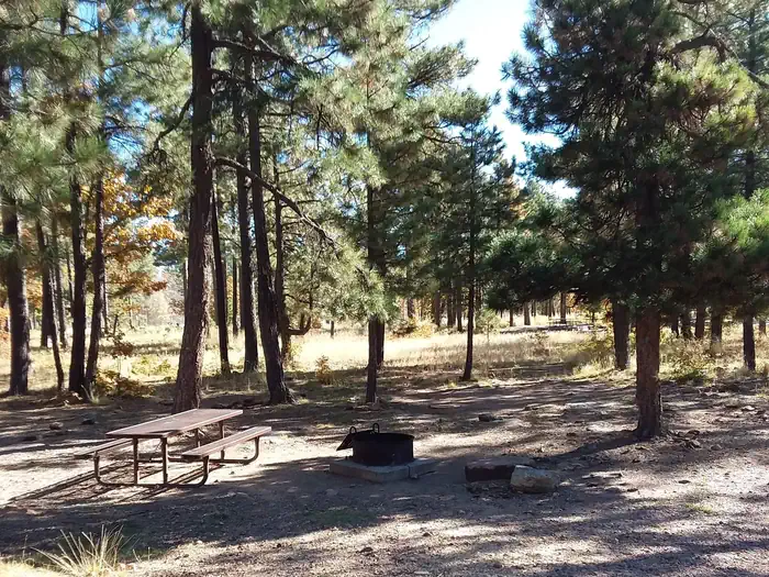 Site 1